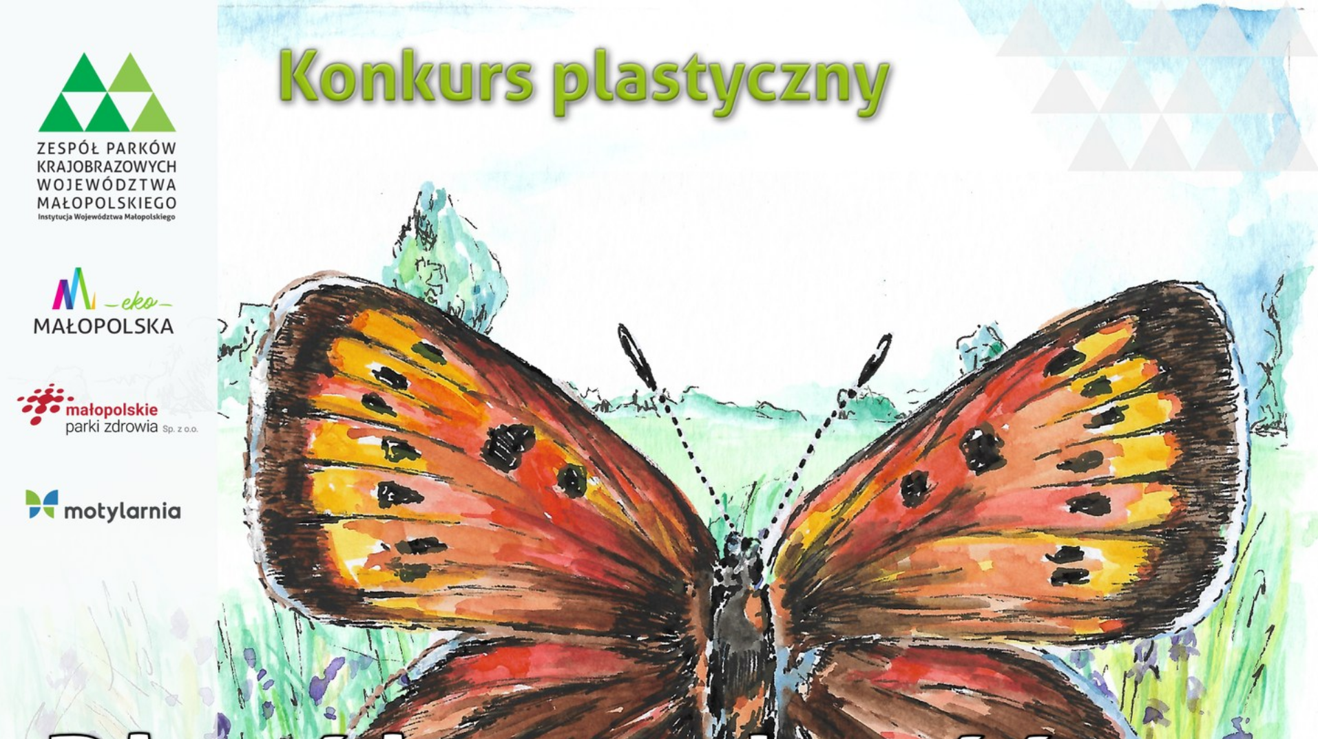 Konkurs plastyczny pn. „Bioróżnorodność na skrzydłach motyli”