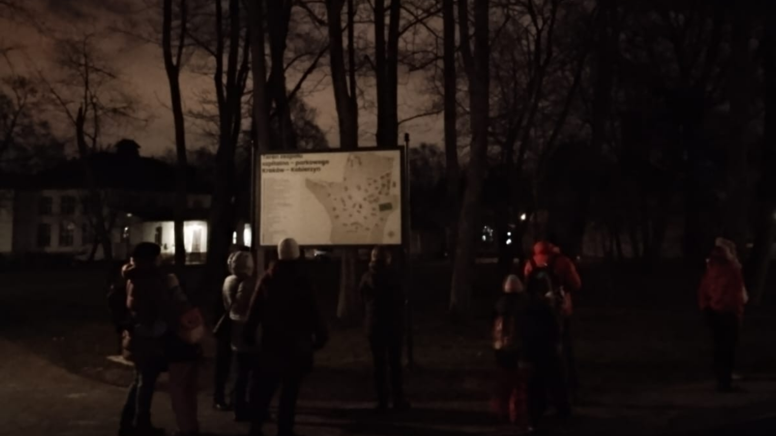 Spacer przyrodniczy „Duchy nocy” – podsumowanie wydarzenia