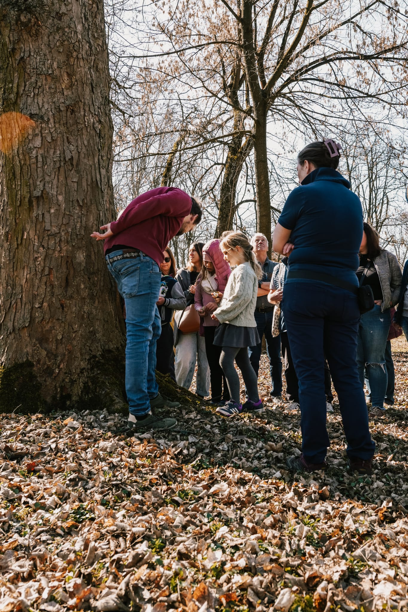 46d8cf57-0ade-4468-a96c-195e9f8b77d4