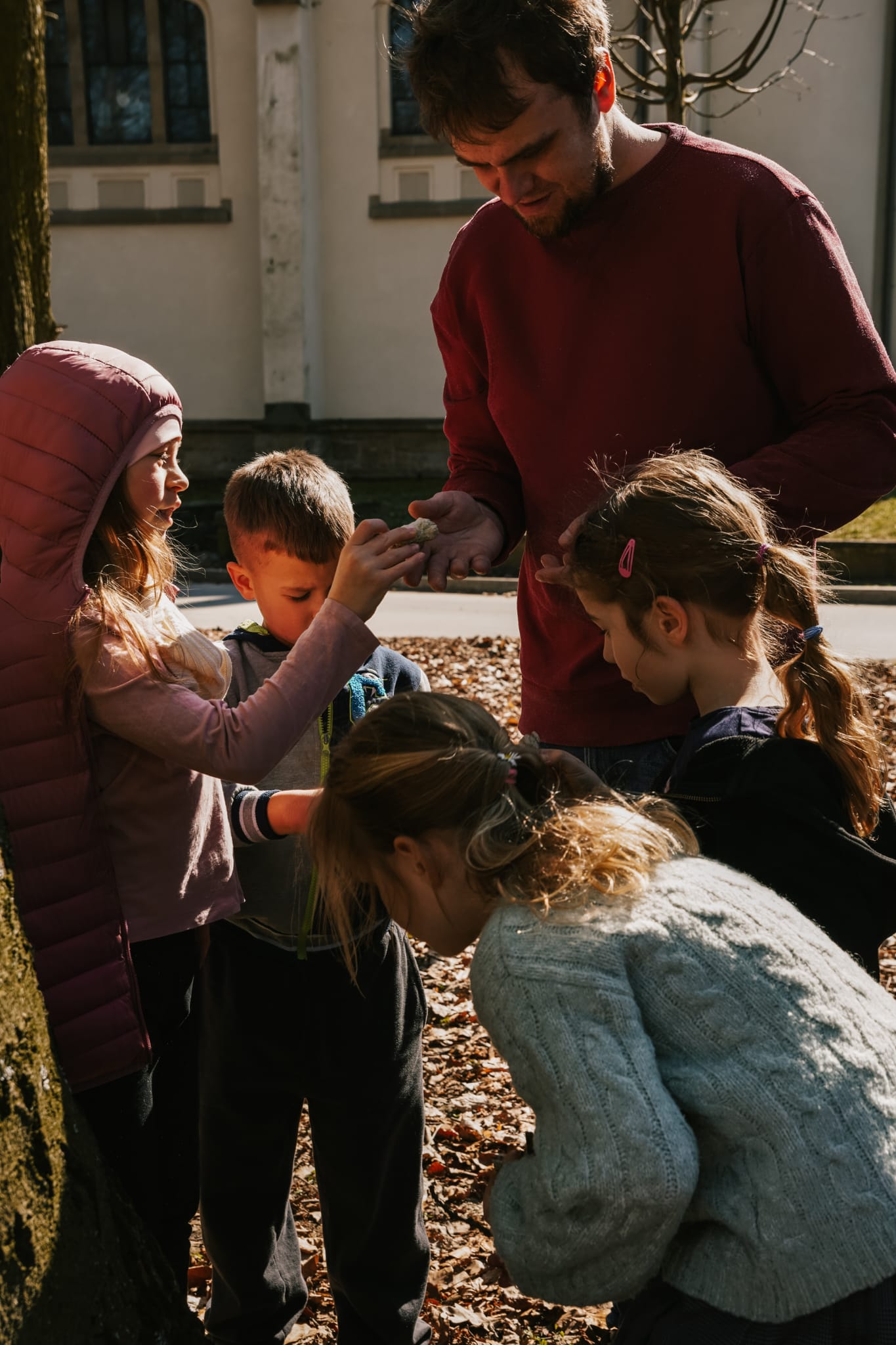 b5602331-cf52-4ada-a973-16fe6b91b250