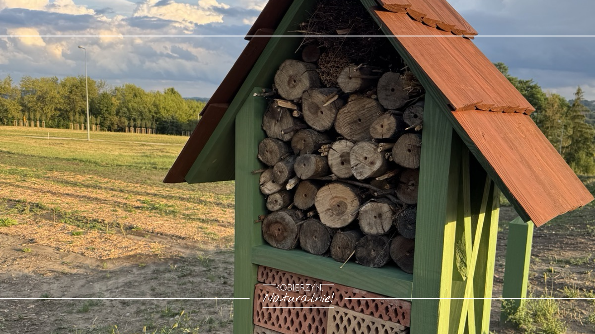 Coraz bardziej zielono przy Centrum Bioróżnorodności!🌱