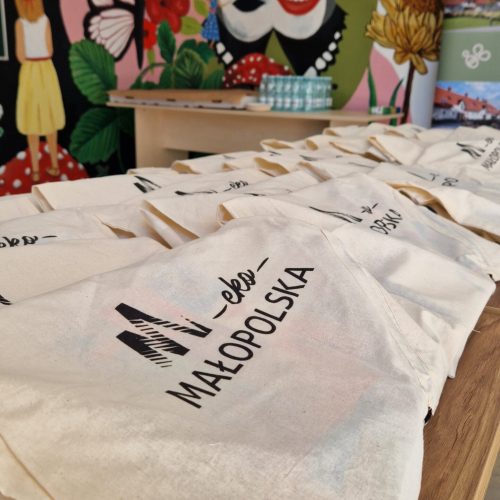 Małopolskie Parki Zdrowia po raz kolejny sprzątają Małopolskę!